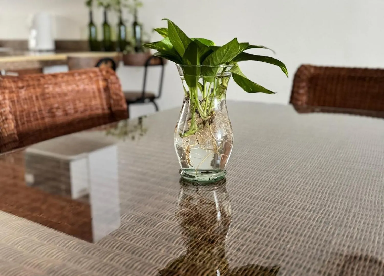Hermosa Y Comoda Casa Con Alberca Compartida En Puerto Morelos